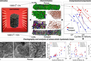 Fatigue behaviour of titanium scaffolds with hierarchical porosity produced by material extrusion additive manufacturing