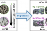 Biodegradable WE43 Mg alloy/hydroxyapatite interpenetrating phase composites with reduced hydrogen evolution