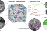 Porous titanium/hydroxyapatite interpenetrating phase composites with optimal mechanical and biological properties for personalized bone repair